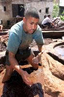 TANNERY CRAFTSMAN 1